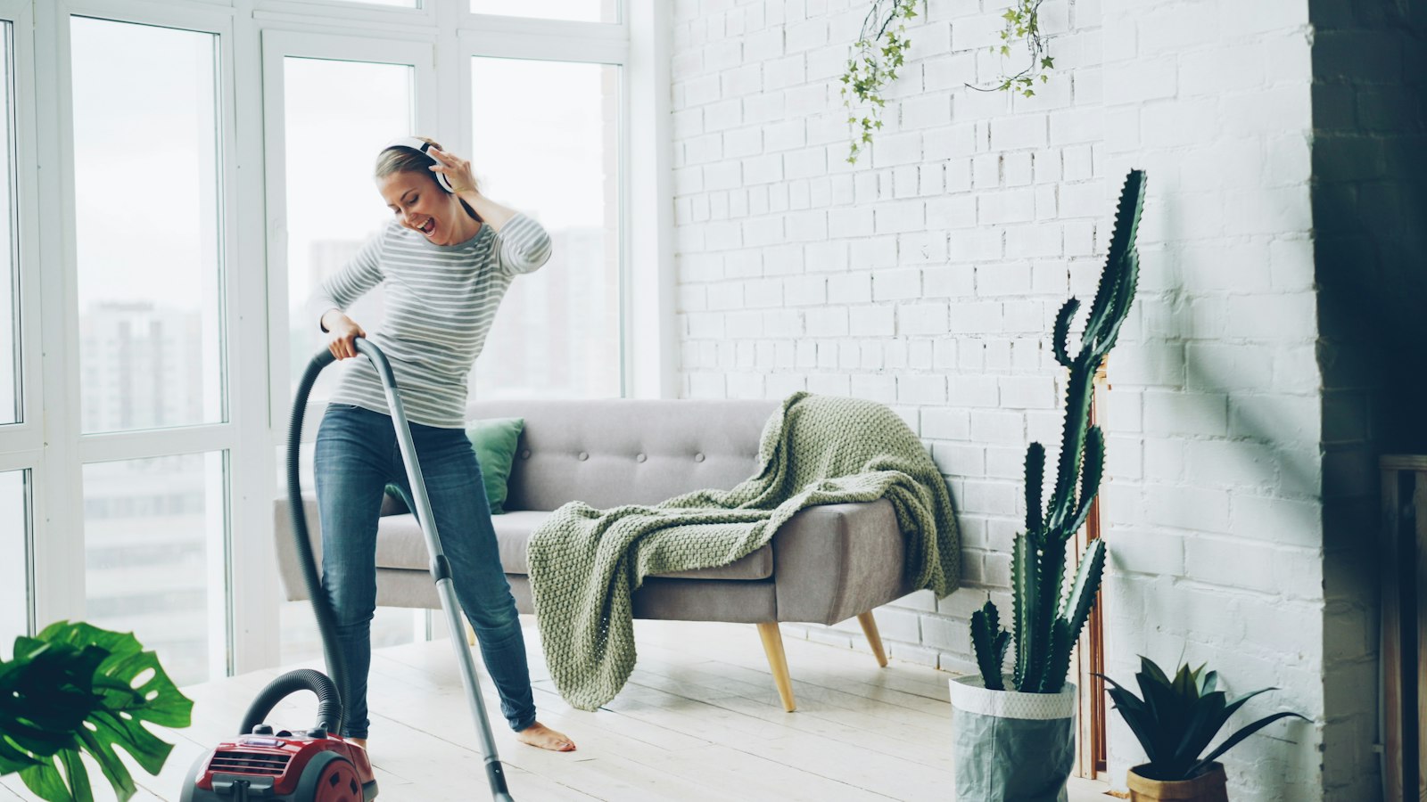 Professional home cleaning